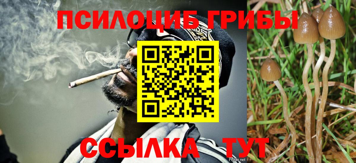 Псилоцибиновые грибы GOLDEN TEACHER  Вход с VPN  Губкин  Псилоцибиновые грибы прущие грибы 